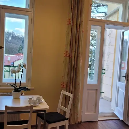 Apartment U Kolonady Mariánské Lázně